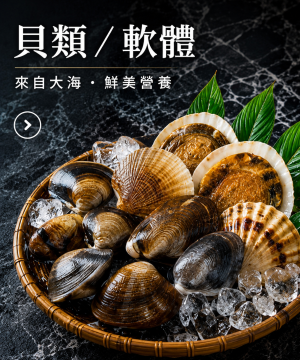 貝類/軟體