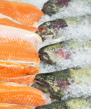 生鮮魚類