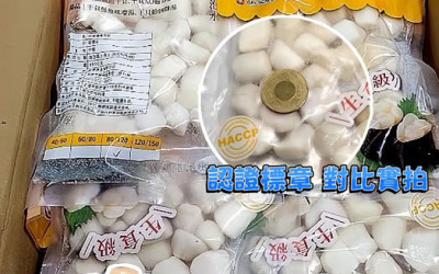 💎 日料等級 生食級海灣干貝 💎