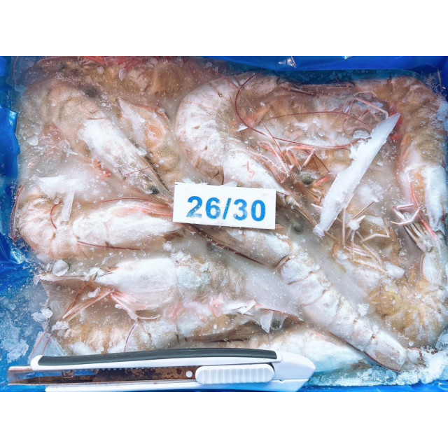 馬來西亞26/30白蝦