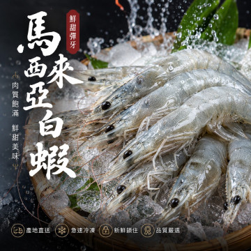 馬來西亞26/30白蝦