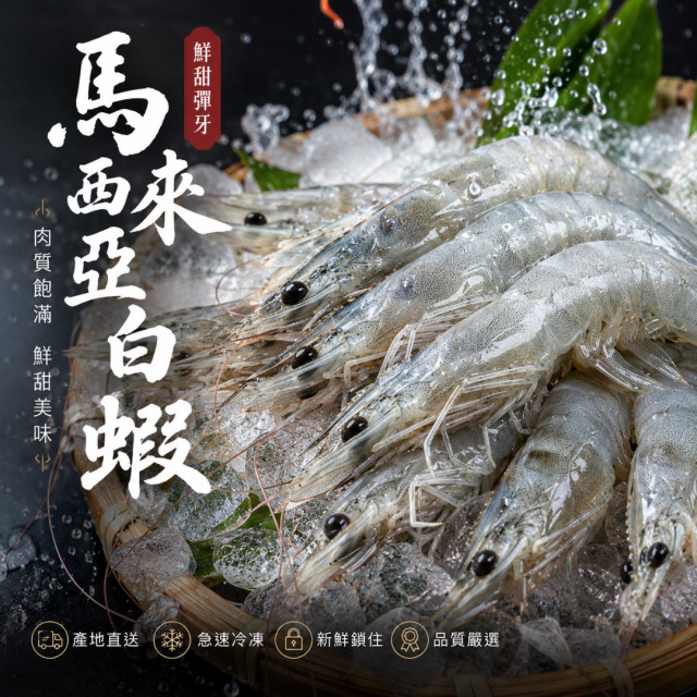 馬來西亞26/30白蝦