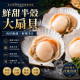 鮮甜半殼大扇貝